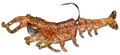 Knockin Shrimp Cracklin With Built-In Tail Rattle